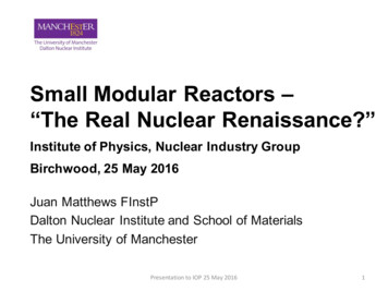 Small Modular Reactors - 