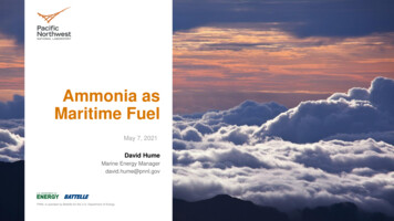 Ammonia As Maritime Fuel - Energy