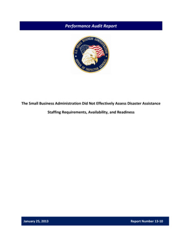 Performance Audit Report - Sba.gov
