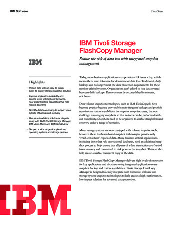 IBM Tivoli Storage FlashCopy Manager - Insight IE