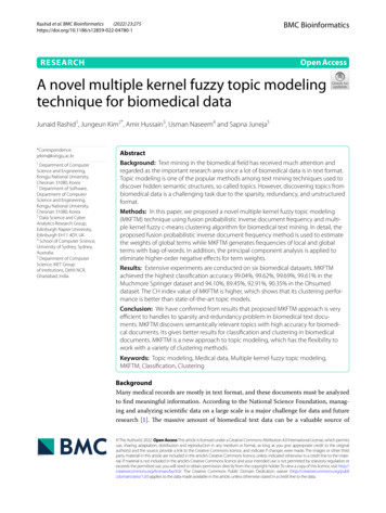 A Novel Multiple Kernel Fuzzy Topic Modeling Technique For Biomedical Data
