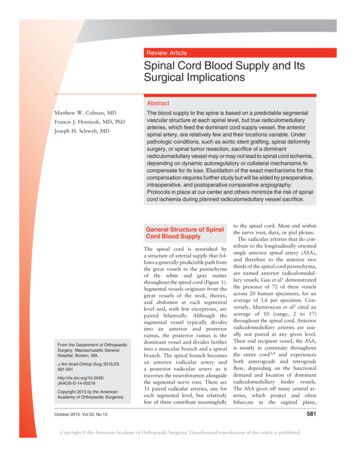 Review Article Spinal Cord Blood Supply And Its Surgical Implications