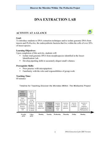 Dna Extraction Lab - Wpmu Dev