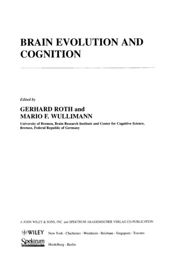 Brain Evolution And Cognition - Lmu
