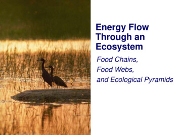 Energy Flow Through An Ecosystem - Commack Schools