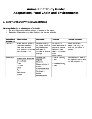 Animal Unit Study Guide: Adaptations, Food Chain And Environments