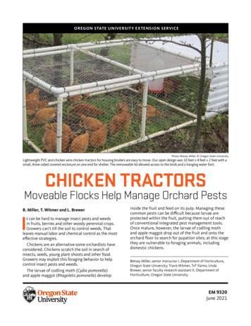 Chicken Tractors: Moveable Flocks Help Manage Orchard Pests