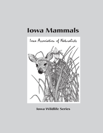 Iowa Wildlife Series - Iowa Mammals