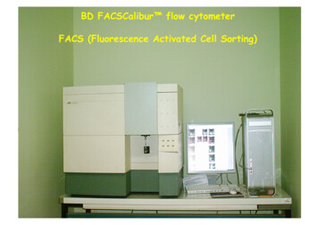 BD FACSCalibur Flow Cytometer FACS (Fluorescence Activated Cell Sorting)