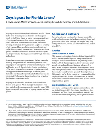 Zoysiagrass For Florida Lawns - University Of Florida