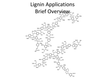 Lignin Applications Brief Overview - Biorefinery Site