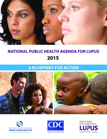 National Public Health Agenda For Lupus 2015