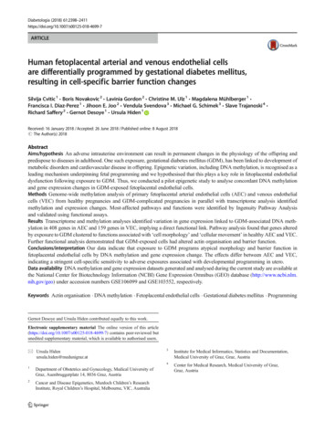 Human Fetoplacental Arterial And Venous Endothelial Cells . - Springer