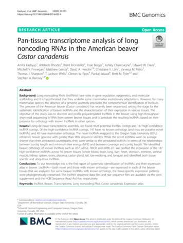 Pan-tissue Transcriptome Analysis Of Long Noncoding RNAs In The .