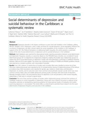 Social Determinants Of Depression And Suicidal Behaviour In The .