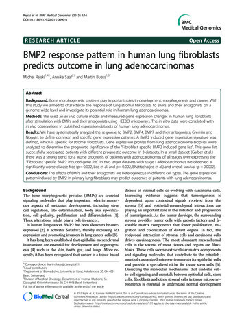 BMP2 Response Pattern In Human Lung Fibroblasts Predicts Outcome In .