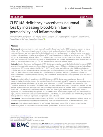 CLEC14A Deficiency Exacerbates Neuronal Loss By Increasing Blood-brain .