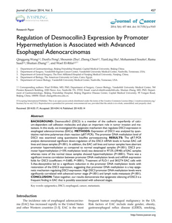 Research Paper Regulation Of Desmocollin3 Expression By Promoter .