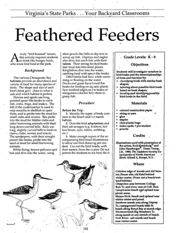Feathered Feeders - University Of Rhode Island