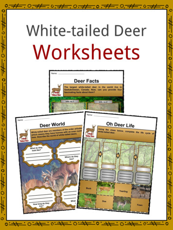 White-tailed Deer Worksheets - Division 11