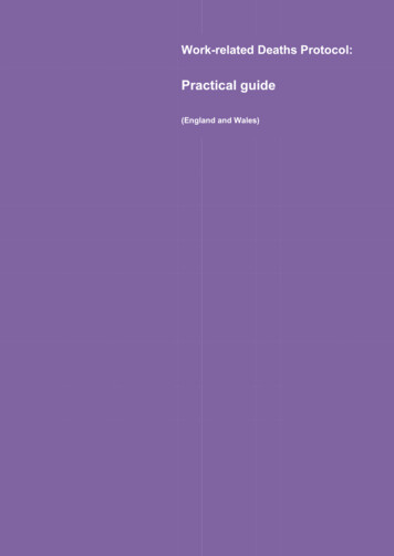 Practical Guide - HSE