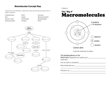 Biomolecules Concept Map Chapter 6 Macromolecules The “Big 4”