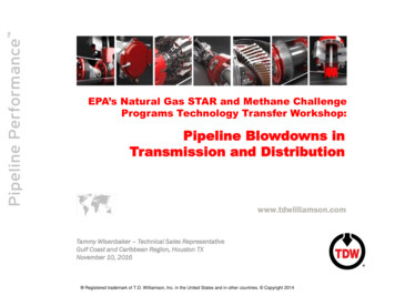 Pipeline Blowdowns In Transmission And Distribution