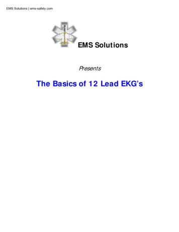 The Basics Of 12 Lead EKG’s - EMSSEO 