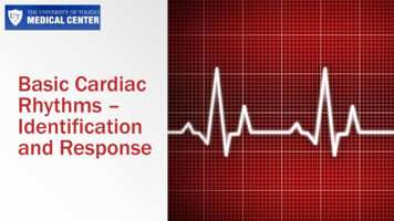 Basic Cardiac Rhythms Identification And Response