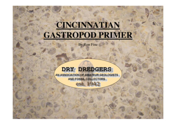 CINCINNATIAN GASTROPOD PRIMER - Dry Dredgers