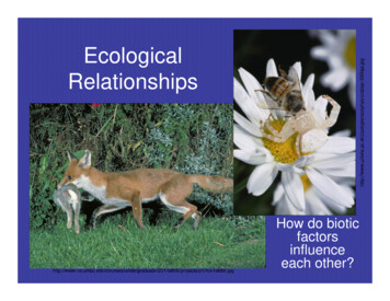 Eco Relationships Fall08 - Portolams 