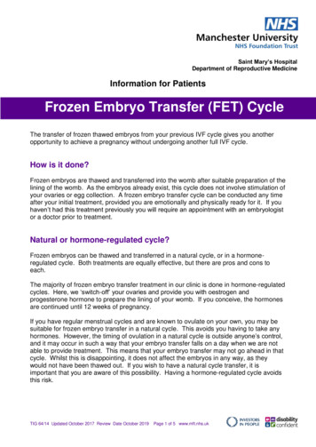 Frozen Embryo Transfer (FET) Cycle - MFT