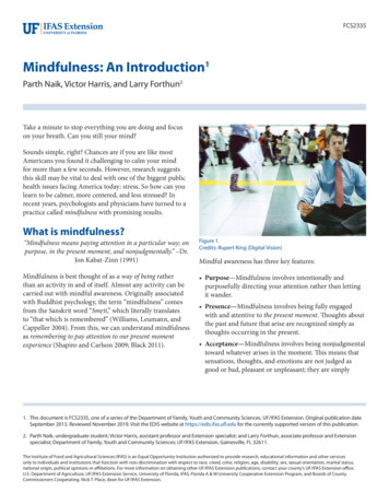Mindfulness: An Introduction