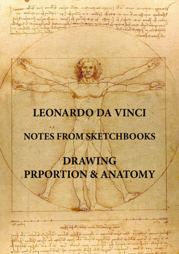DRAWING PRPORTION & ANATOMY
