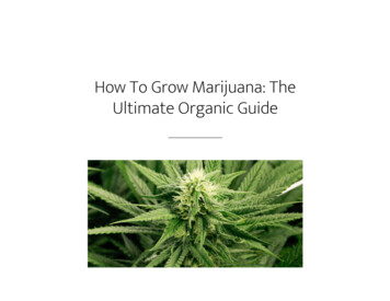 How To Grow Marijuana- The Ultimate Organic Guide