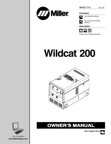 Wildcat 200 - Miller