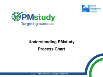 Understanding PMstudy Process Chart