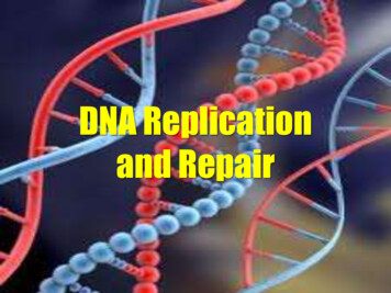 DNA Replication And Repair - Bayo2pisay.files.wordpress 