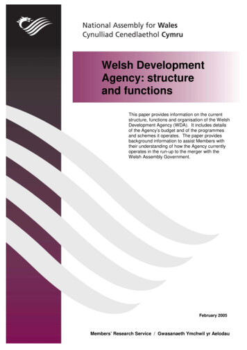 Welsh Development Agency: Structure And Functions