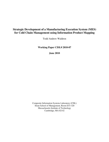 Strategic Development Of A Manufacturing Execution System (MES) For .
