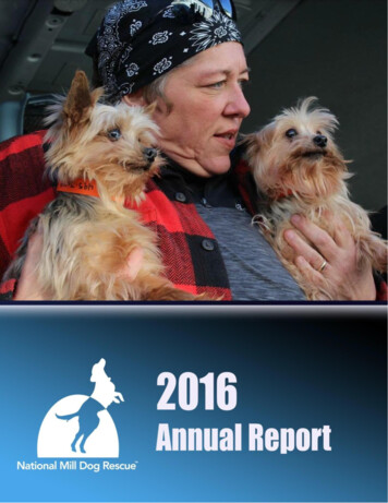 National Mill Dog Rescue 2016 Annual Report - Nmdr 