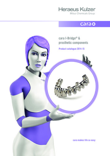 Cara I-Bridge Prosthetic Components - Kulzer