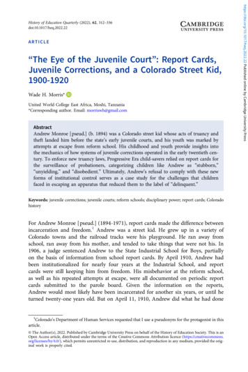 The Eye Of The Juvenile Court : Report Cards, Juvenile Corrections, And .