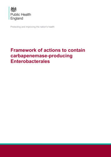 Framework Of Actions To Contain Carbapenemase-producing . - GOV.UK