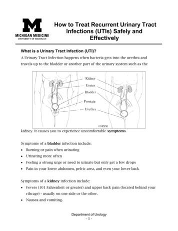 How To Treat Recurrent Urinary Tract Infections (UTIs) Safely And .