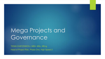 Governance In Mega Projects