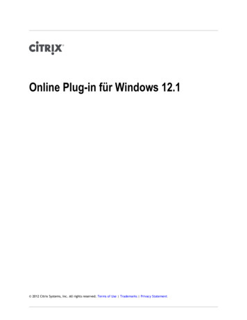 Online Plug-in Für Windows 12 - LSB