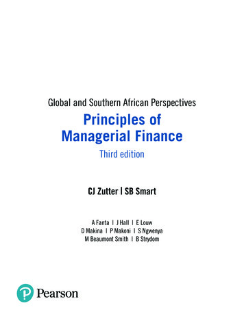 Global And Southern African Perspectives Principles Of Managerial Finance