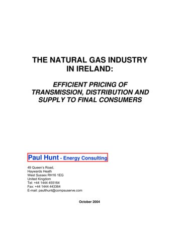The Natural Gas Industry In Ireland