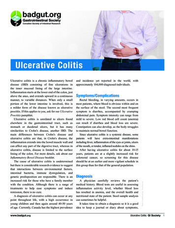 Ulcerative Colitis - Badgut 